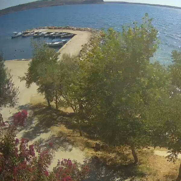 Kamera Rtina Podmoree